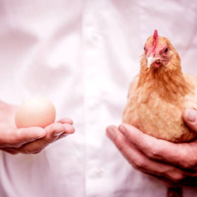 Como-te-ayuda-un-ERP