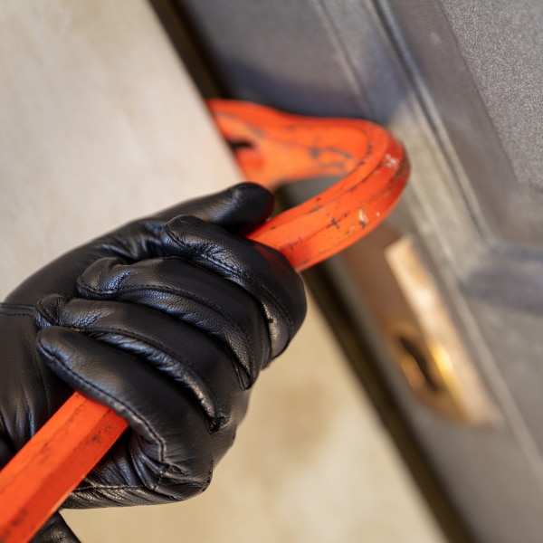 ERP operadores logísticos ladrones productividad